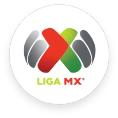 Frame 1686556130 (1)