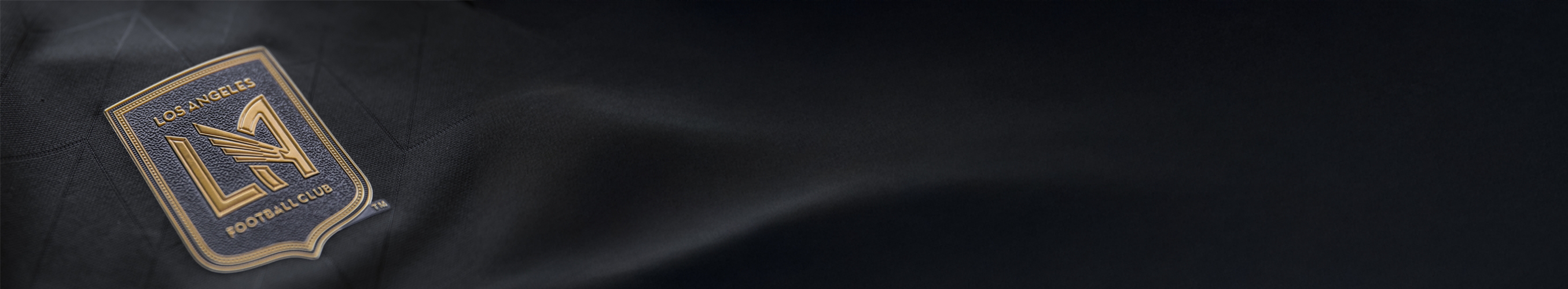 מועדון הכדורגל לוס אנג'לס