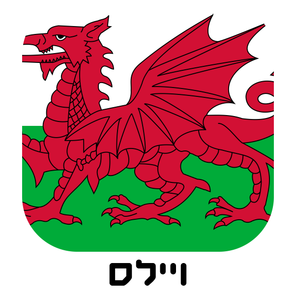 ויילס - חולצות