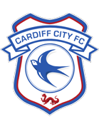 קארדיף סיטי - חולצות