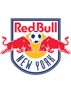 ניו יורק רד בולס